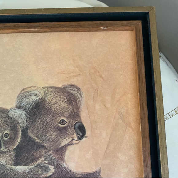 Vintage koala framed print - Picture 6 of 10